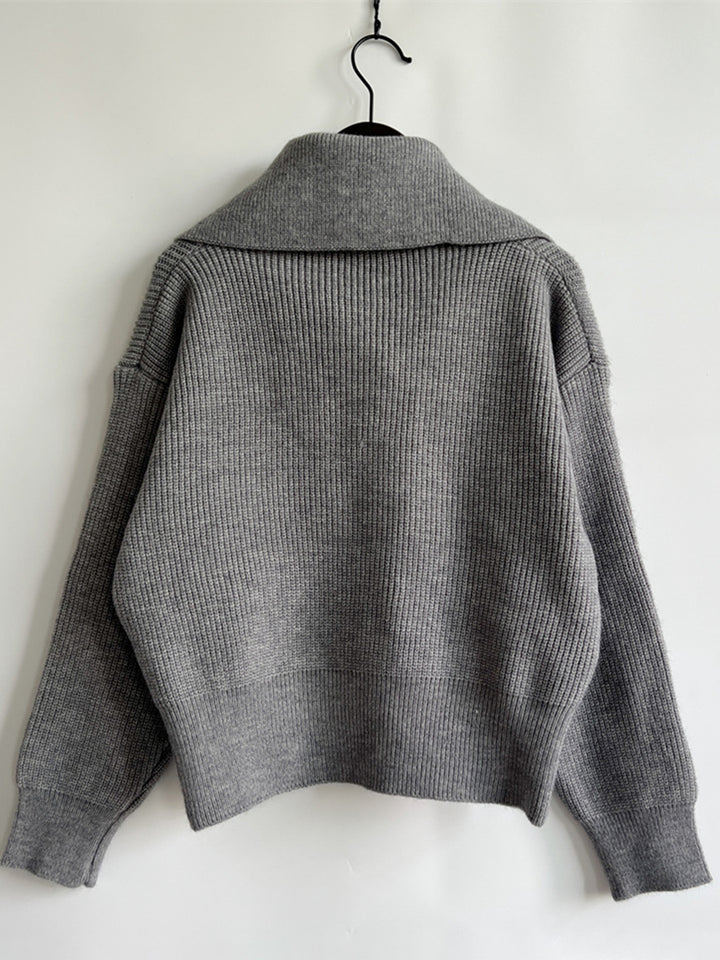 Statement Collar Half Button Sweater