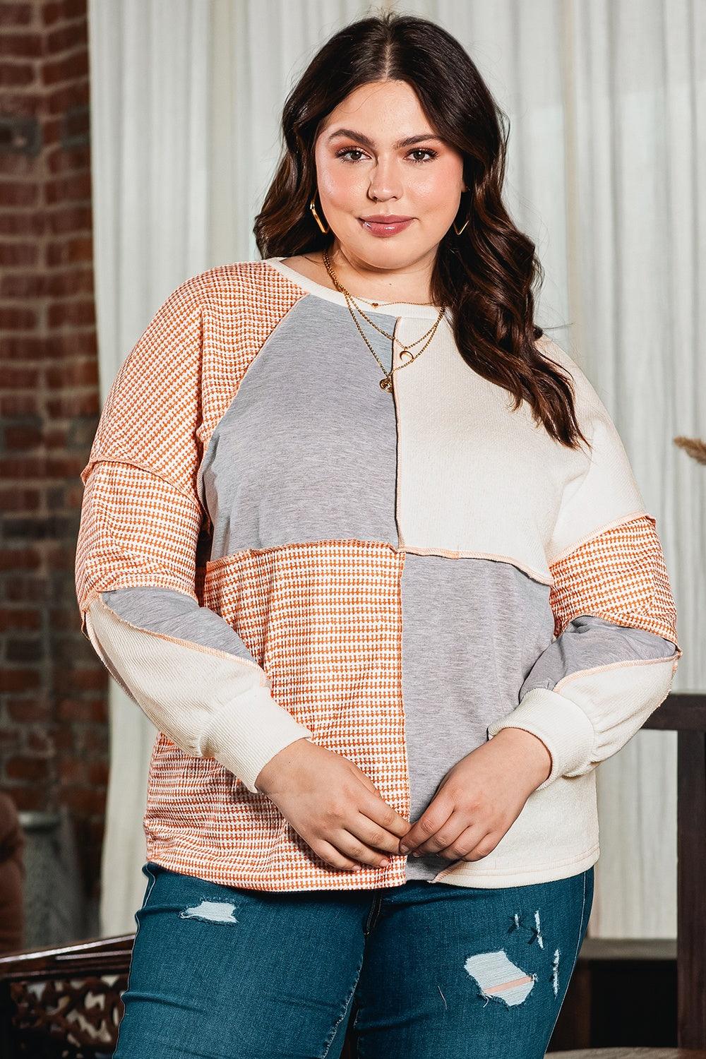 Plus Size Exposed Seam Color Block Round Neck Sweatshirt - Lucianne Boutique